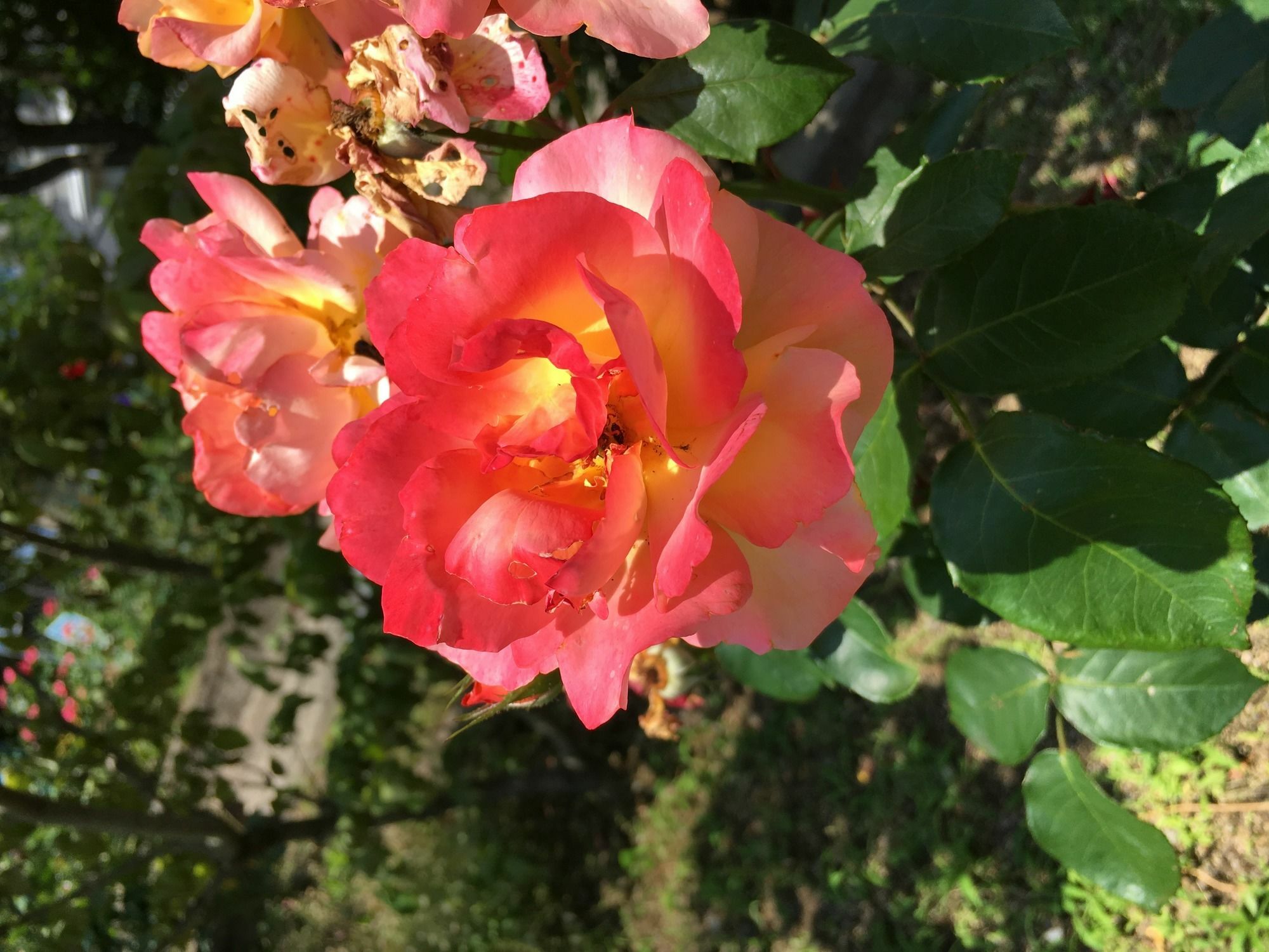 Fukuyama Rose Garden Hotel 외부 사진